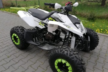 QUAD 250 Beretta Mad Max Fuxin