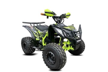 Quad BERETTA SPORT ECO 1000W 48V